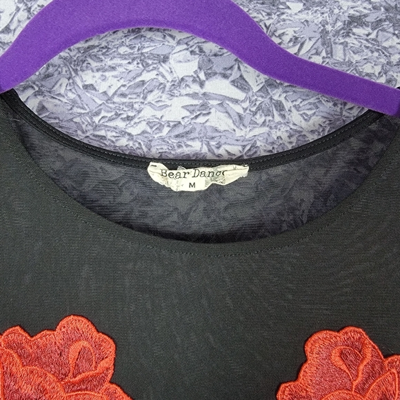 Sheer Black Dress with Embroidered Roses - Picture 6 of 6